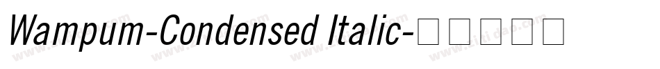 Wampum-Condensed Italic字体转换
